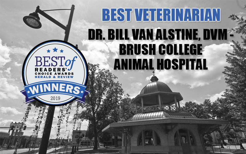 Best Veterinarian
